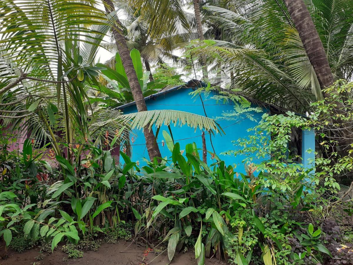 Laughing Buddha Arambol Exterior photo